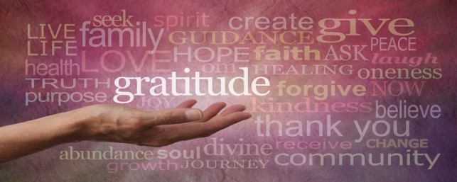 Female hand outstretched with palm up and the word 'Gratitude' hovering above with a stone effect background covered in different colored and sized 'Gratitude' words